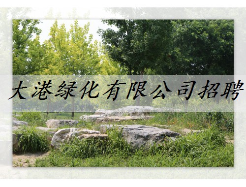 大港綠化有限公司招聘