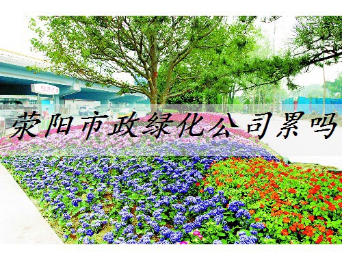 滎陽市政綠化公司累嗎