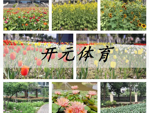 莆田城市綠化養護的重要性