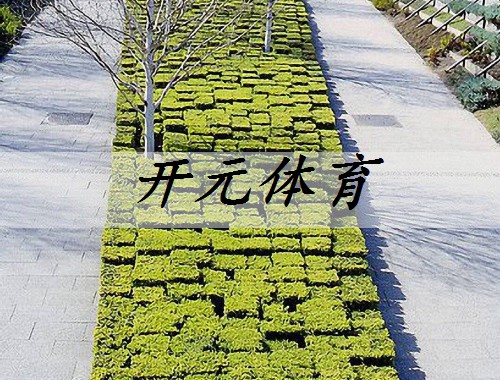 沈陽小區綠化工程活動策劃