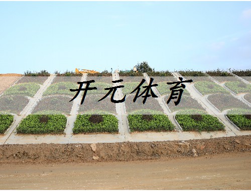 通渭城市綠化項目中標單位
