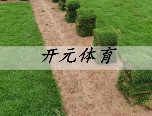 西安路中間綠化工程招標