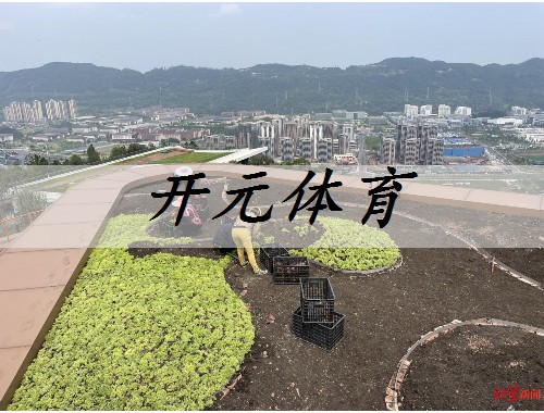 蕪湖市錦華園林綠化工程有限公司
