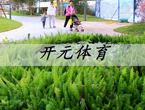 義馬綠化樹品種排名