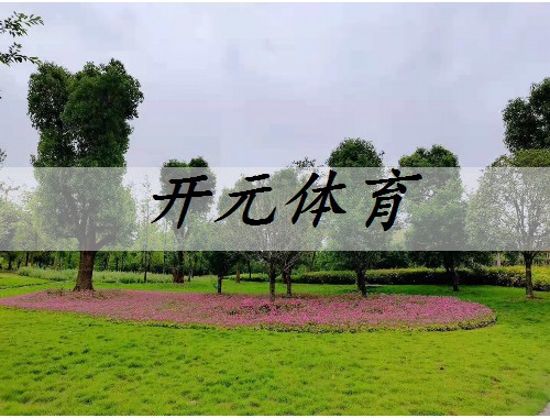 白山綠化苗木市場分析