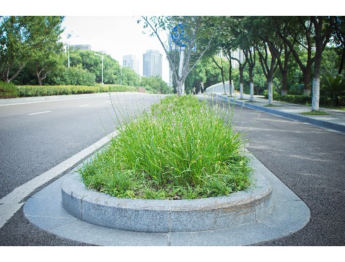 泰州經典園林綠化工程有限公司