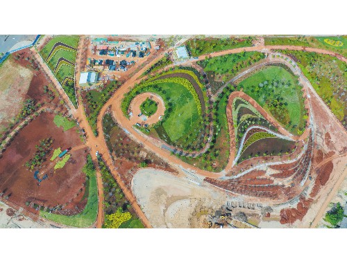 泰興園林綠化工程公司