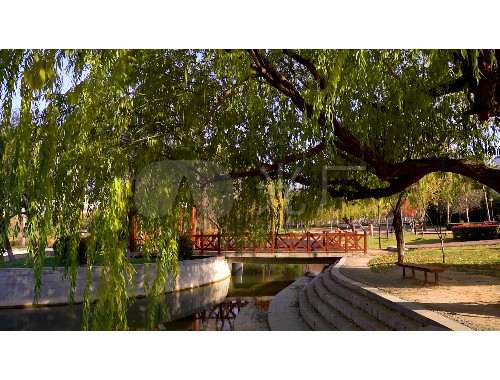 楚雄市政綠化公司累嗎