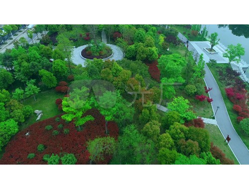 泰興園林綠化公司招聘