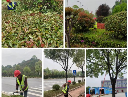 武夷山市政綠化工程經營范圍