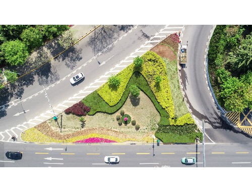 泰安市兆森園林綠化工程