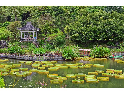 沭陽縣金斗綠化工程有限公司