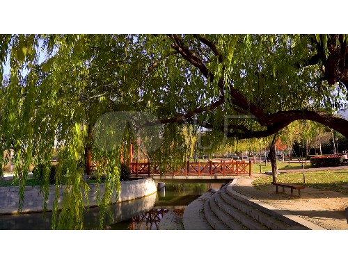 定州找綠化工作怎么找汕頭市