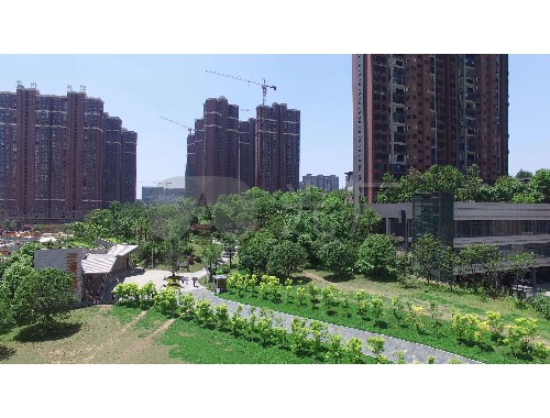 河東綠化有限公司袁美華