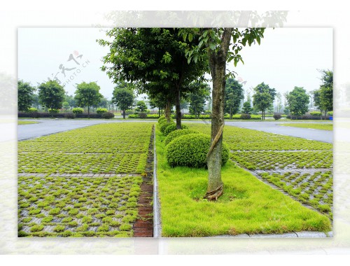 廣安城市園林綠化管理條例
