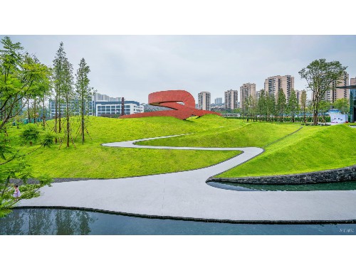 江油綠化草皮基地