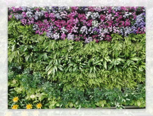 慈溪城市綠化帶種植什么植物好