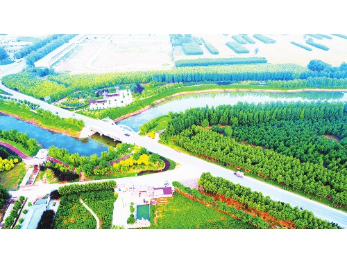 姜堰城市綠化補償費收費標準文件