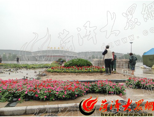 園林綠化工程單位驗收