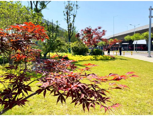 園林綠化工程師面試會問啥