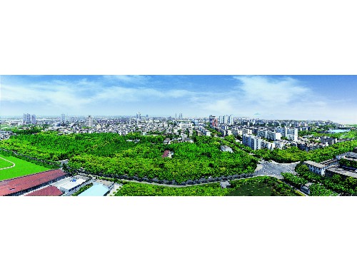 小區綠化工程施工設計方案