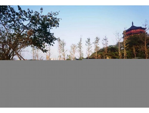園林綠化工程施工報表表格